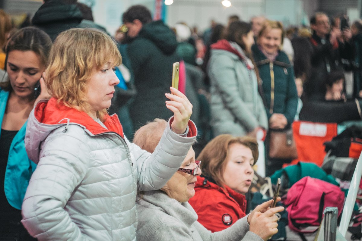 Зрители фотографируют пушистиков