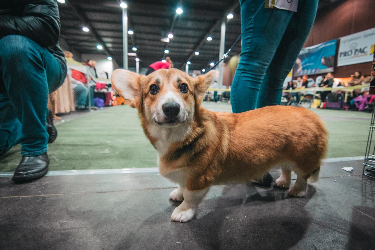 Привет. Познакомимся?