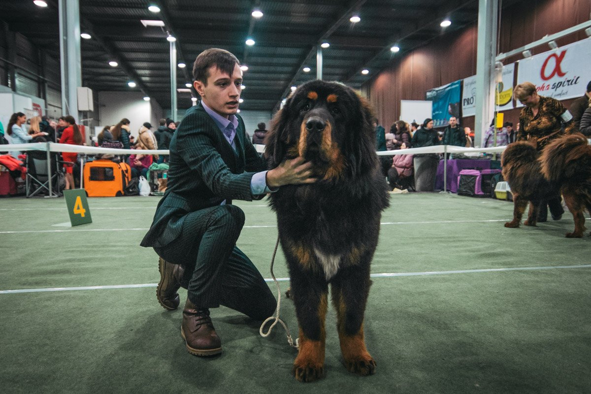 Фото: Витольд Явдощук