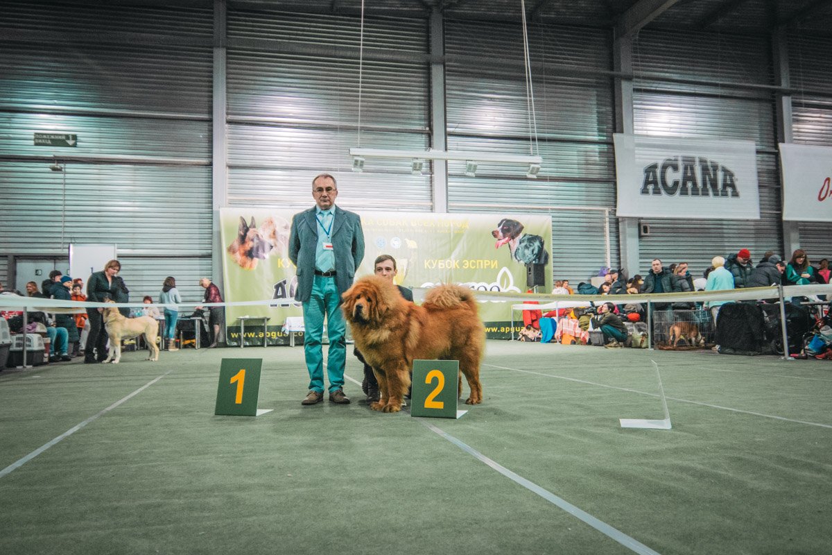 В ожидании вердикта судей