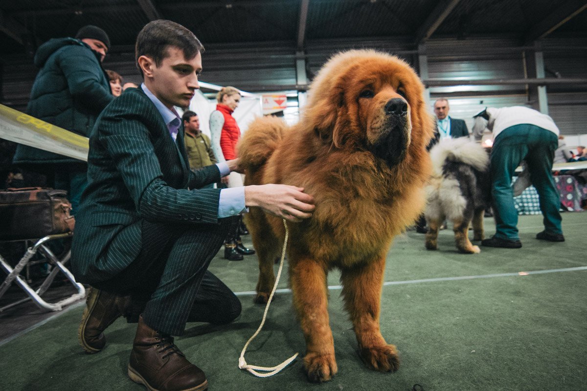 Сложно устоять перед обаянием такого красавца Сложно устоять перед обаянием такого красавца
