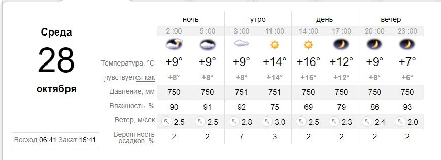 Погода на 28 октября: в Киеве будет тепло и сухо 2