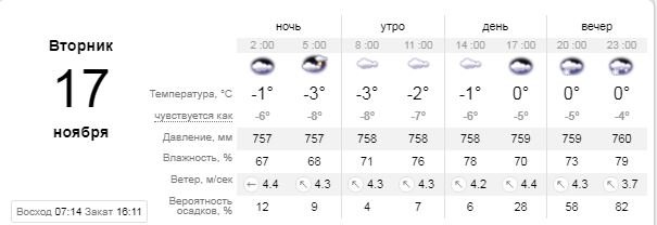 Погода на 17 ноября: в Киеве пойдет первый снег 1