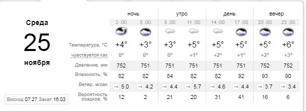 Погода на 25 ноября: в Киеве будет облачно 1