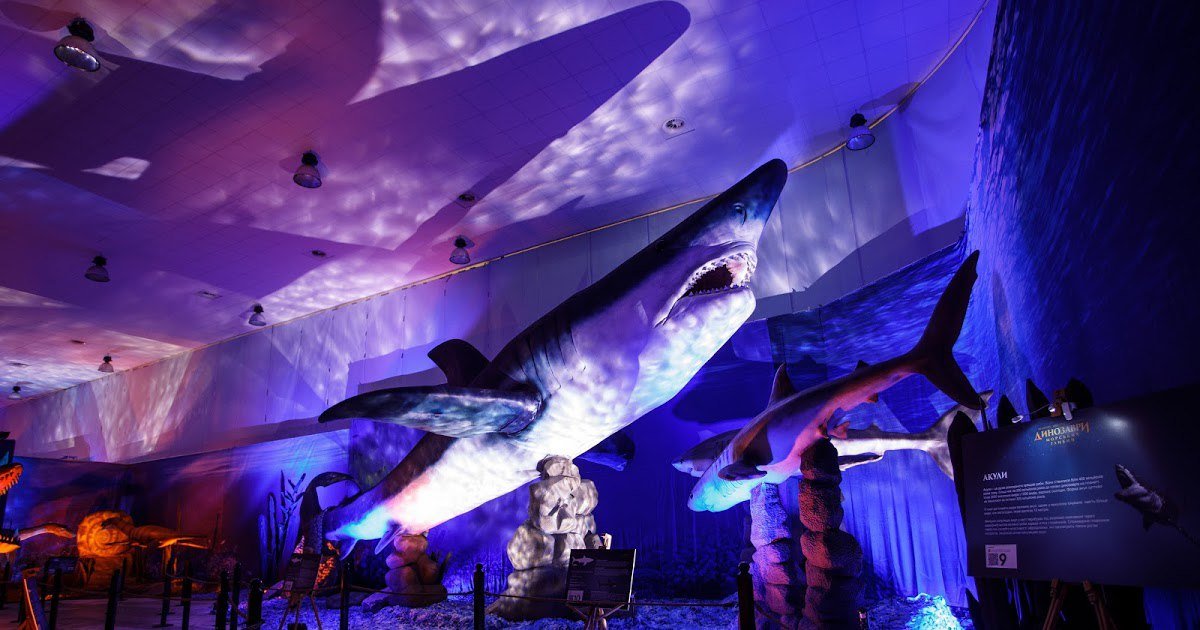 В Киеве «Зимова країна на ВДНГ» снова готовит развлечения: что будет работать и когда откроют 5