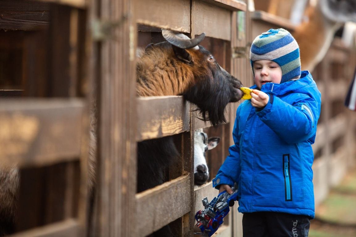 В Киеве «Зимова країна на ВДНГ» снова готовит развлечения: что будет работать и когда откроют 6