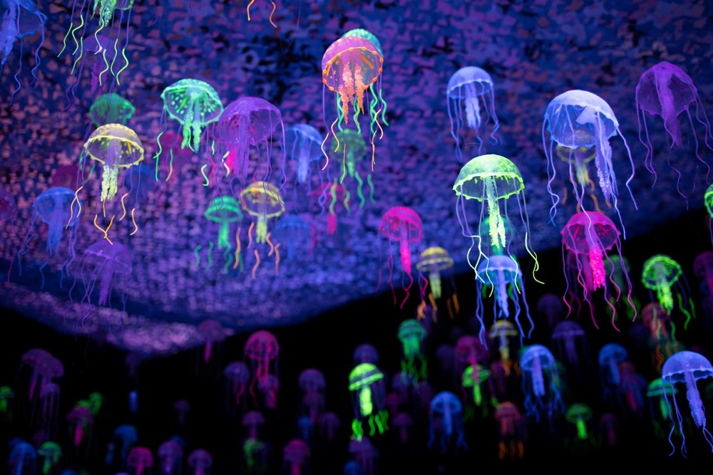 В Киеве на ВДНГ можно увидеть двухтонного крокодила и 13-метровую акулу: когда откроется и что вас ждет на новой выставке 1