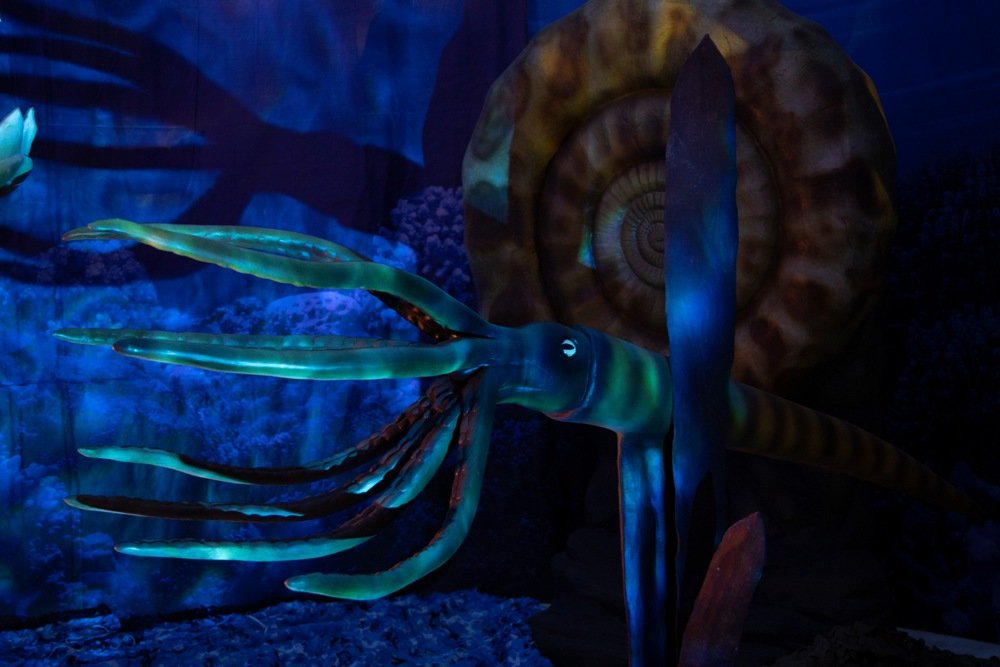 В Киеве на ВДНГ можно увидеть двухтонного крокодила и 13-метровую акулу: когда откроется и что вас ждет на новой выставке 3