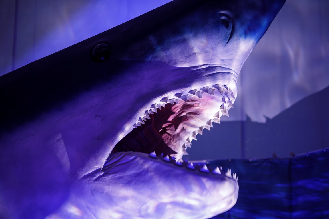 В Киеве на ВДНГ можно увидеть двухтонного крокодила и 13-метровую акулу: когда откроется и что вас ждет на новой выставке 5