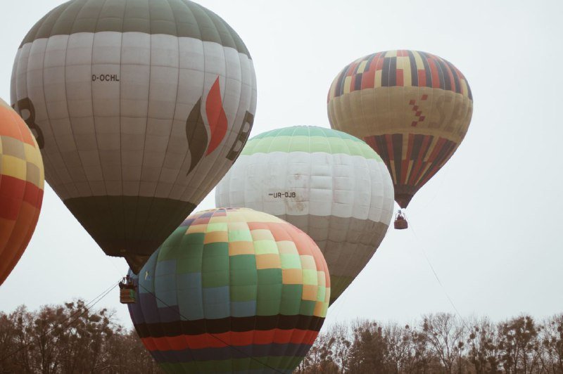 В Киеве на ВДНГ под мокрым снегом прошел фестиваль воздушных шаров: ищи себя на фото 12