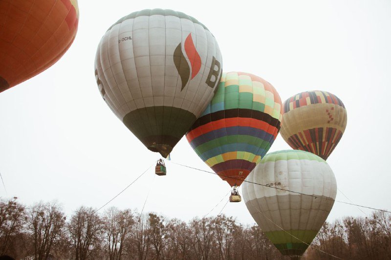 В Киеве на ВДНГ под мокрым снегом прошел фестиваль воздушных шаров: ищи себя на фото 14