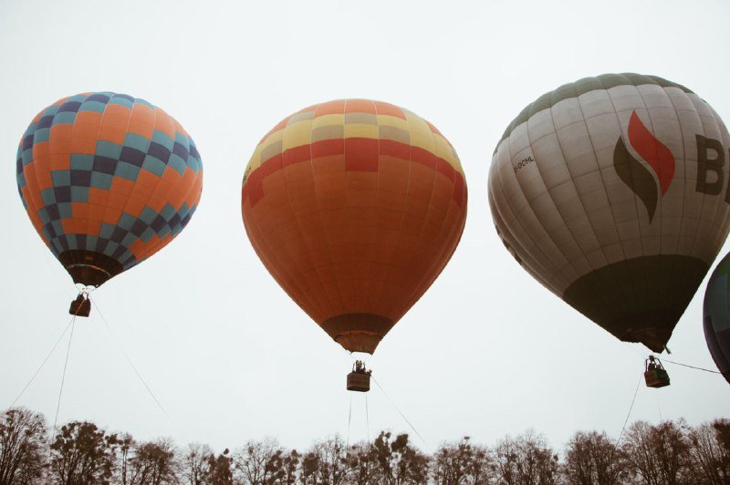 В Киеве на ВДНГ под мокрым снегом прошел фестиваль воздушных шаров: ищи себя на фото 16
