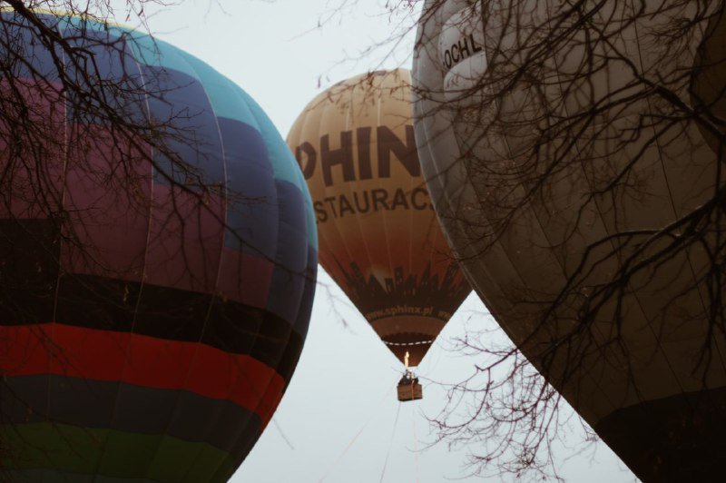 В Киеве на ВДНГ под мокрым снегом прошел фестиваль воздушных шаров: ищи себя на фото 26