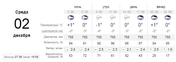 Погода на 2 декабря: в Киеве будет мокрый снег 1