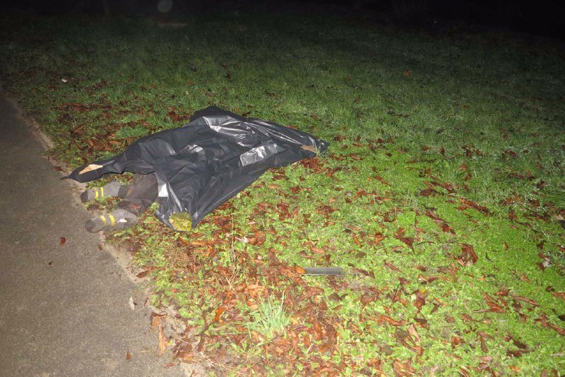 В Киеве на Леся Курбаса ВАЗ насмерть сбил парня, который бегал по дороге 2