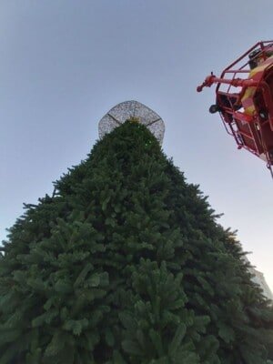 В Киеве на главную елку страны нацепили сову и первые гирлянды: появились фото 1