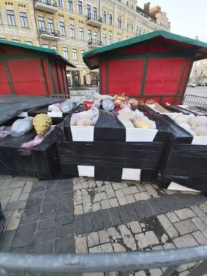 В Киеве на главную елку страны нацепили сову и первые гирлянды: появились фото 4