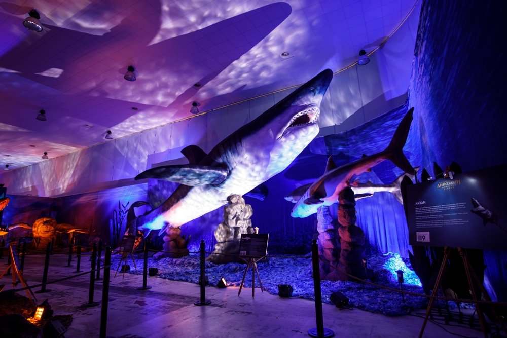 Что подарить ребенку на День Святого Николая и Новый год 4