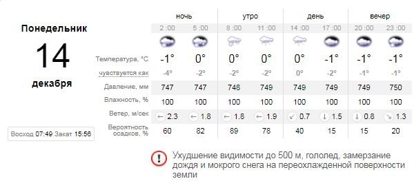 Погода на 14 декабря: в Киеве утренний снег к вечеру превратится в дождь 1
