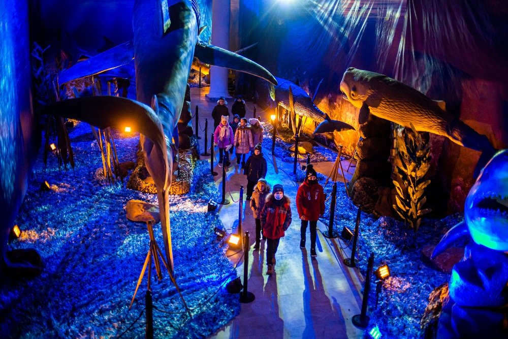 «Зимова країна на ВДНГ»: гид по праздничным развлечениям и локациям 18