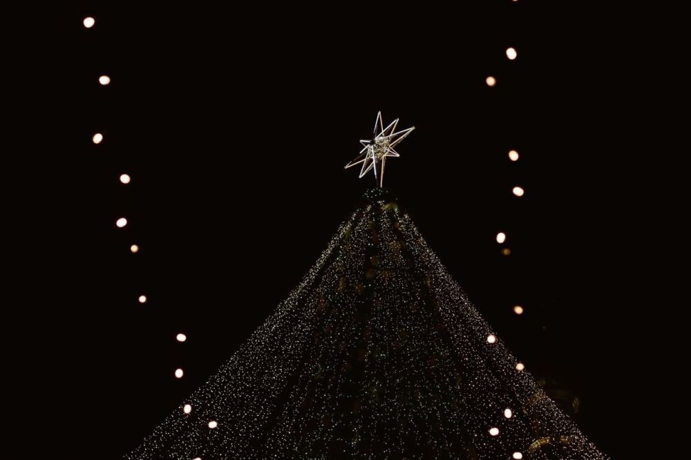 Как в Киеве зажигали главную елку страны: фоторепортаж с Софийской площади 15