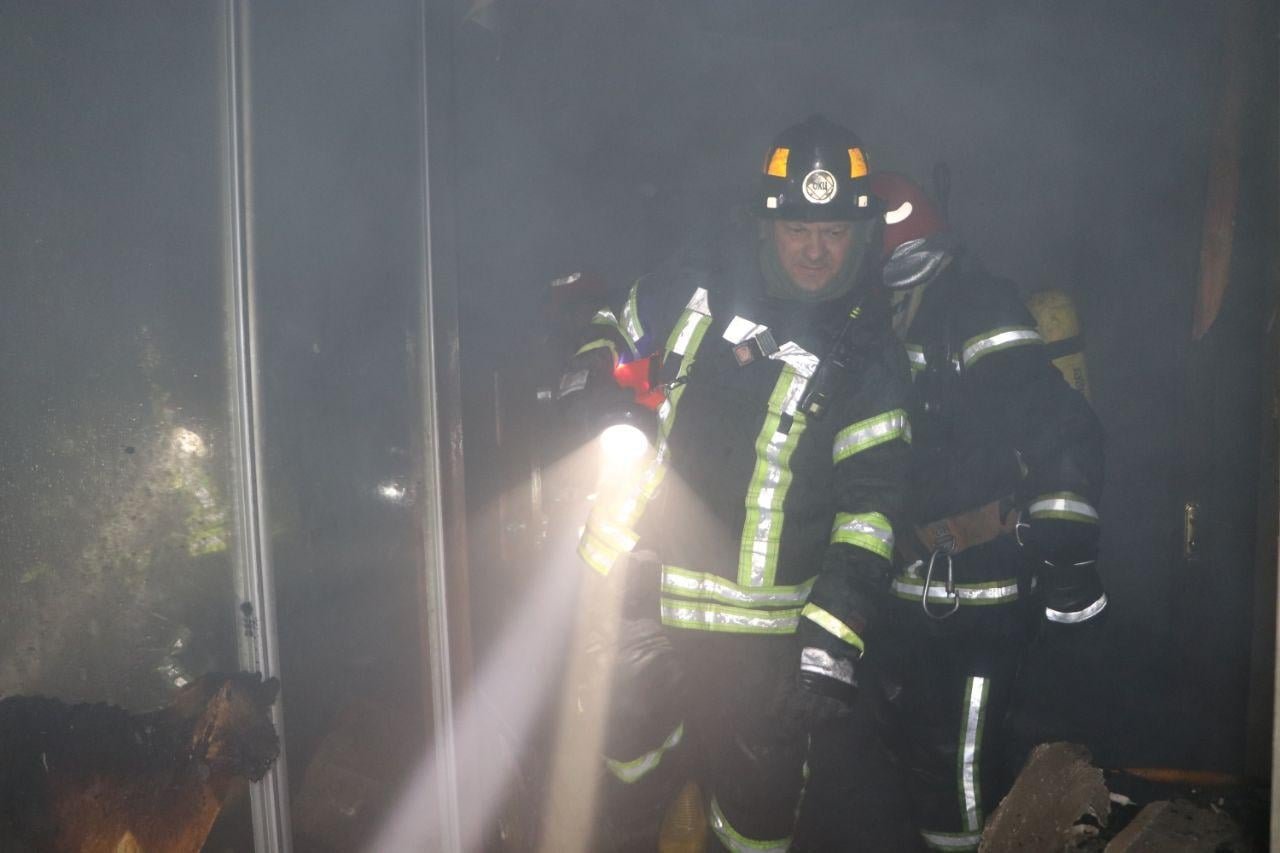 В Киеве на Голосеево вспыхнул частный дом: подробности пожара 1