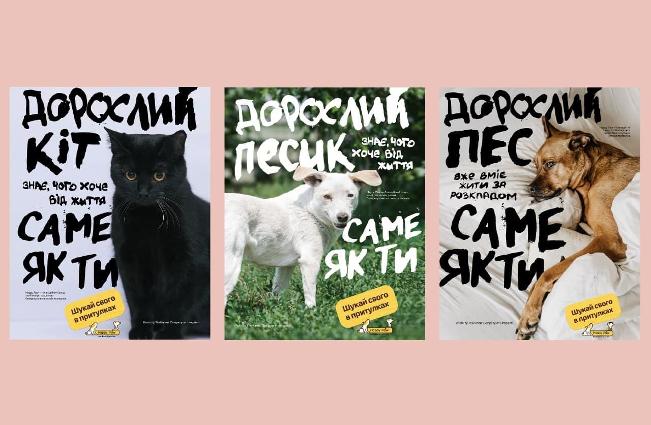 В Киеве запустили распродажу для помощи бездомным животным: как на нее попасть 2