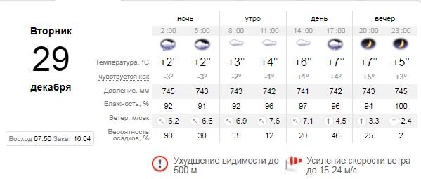 Погода на 29 декабря: в Киеве пойдет дождь и опустится туман 1