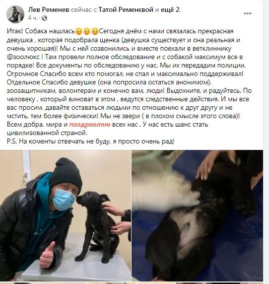 В Киеве мужчина приютил бездомного пса, а затем избил его и выбросил 1