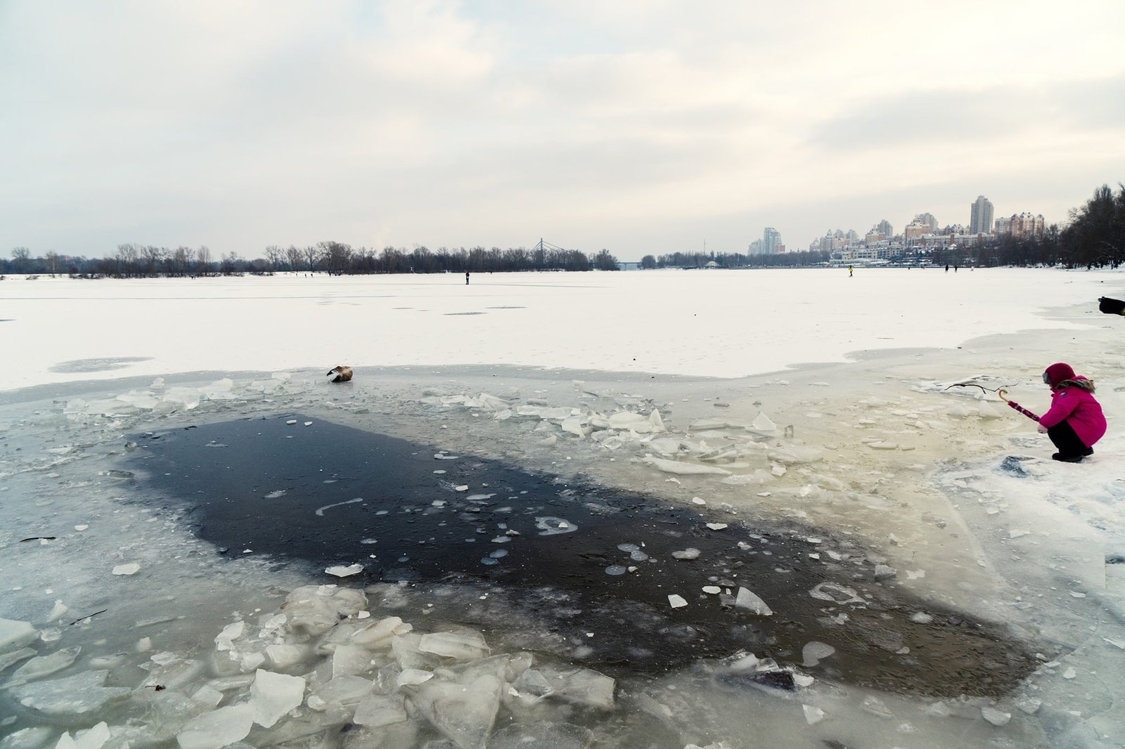 Провалились 8 человек, автомобиль и собака: в Киеве продолжают проверять лед на прочность 3