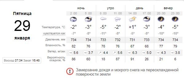 Погода на 29 января: в Киеве весь день будет валить снег 1