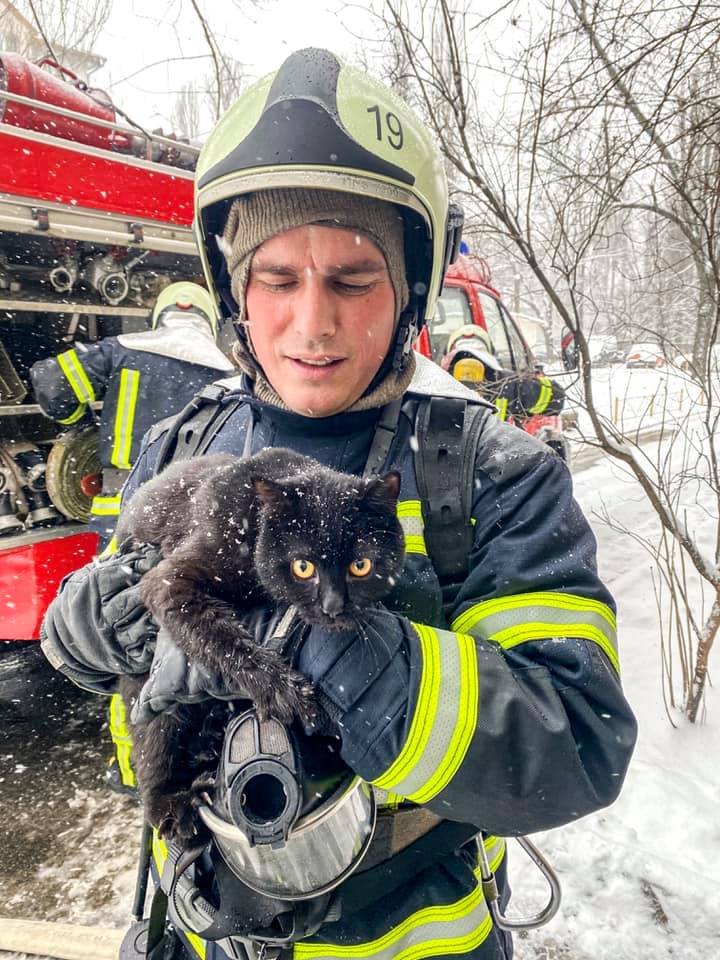 В Киеве из горящей квартиры пожарные спасли котенка 1