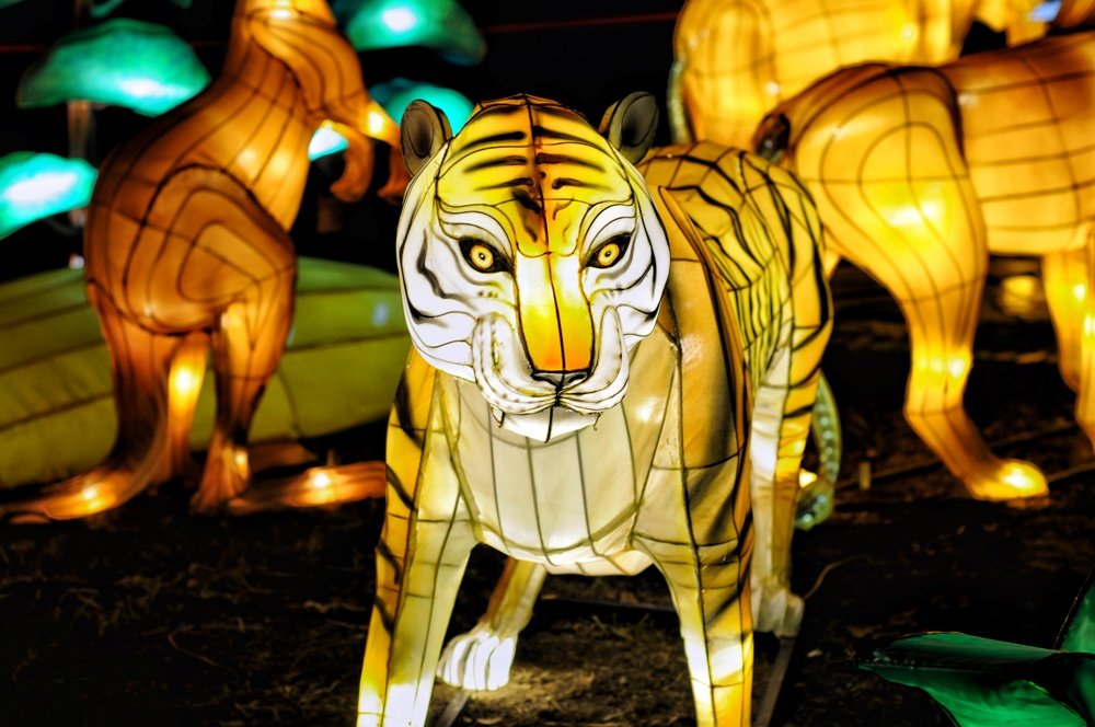 ????????????????????????????????????