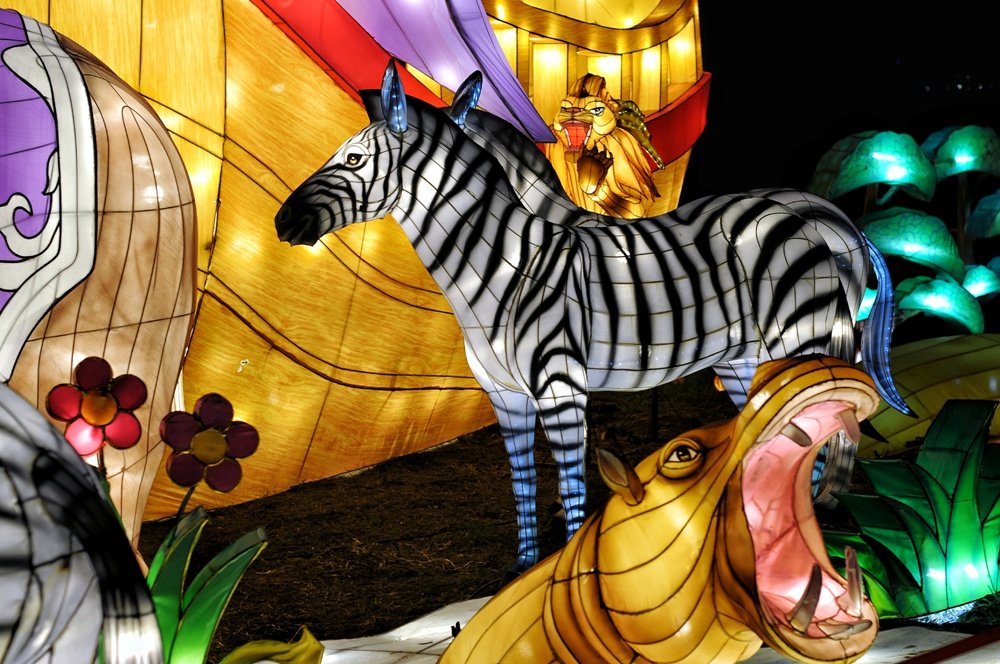 ????????????????????????????????????