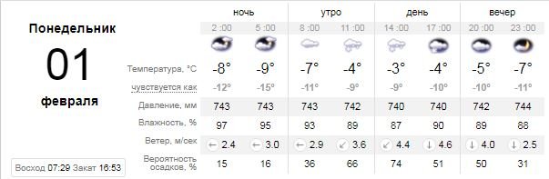 Погода на 1 февраля: в Киеве снова будет снег 1