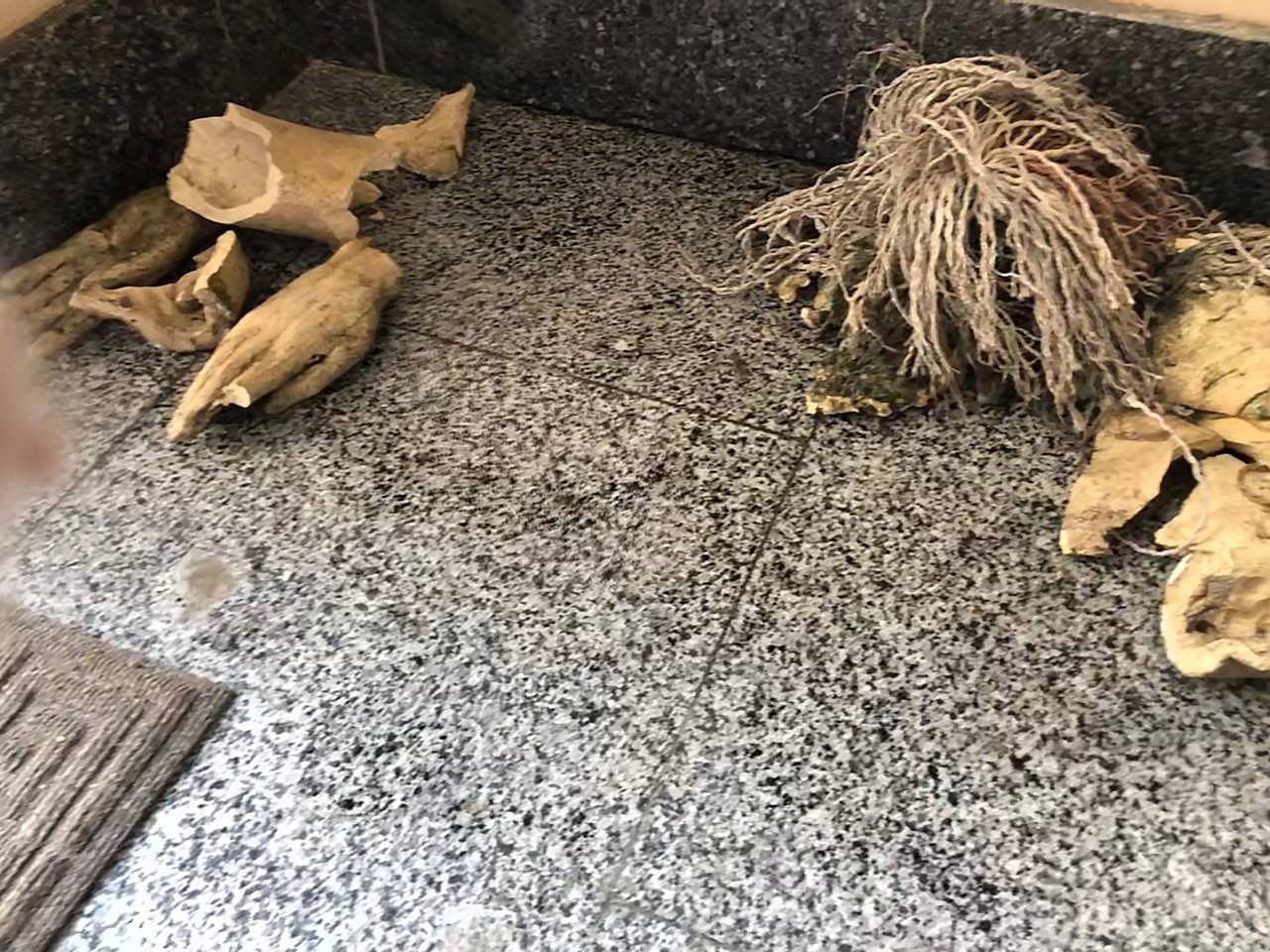 В Киеве вандалы сломали легендарную деревянную скульптуру Балерины от создателя Пейзажной аллеи 4