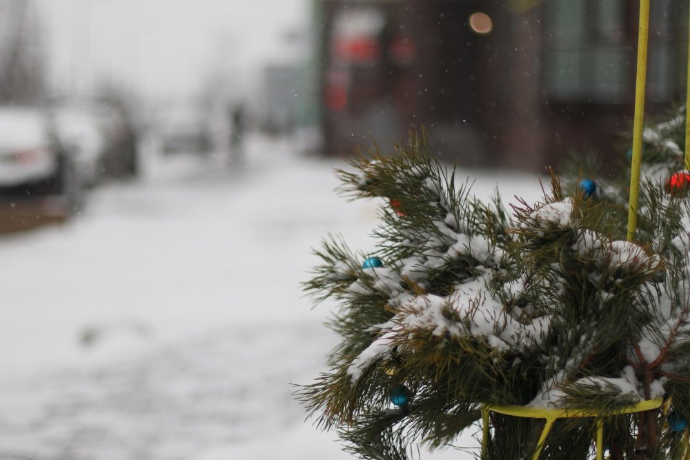 Снегопад в Киеве в лицах и пробках: как с утра выглядит столица во время непогоды 1