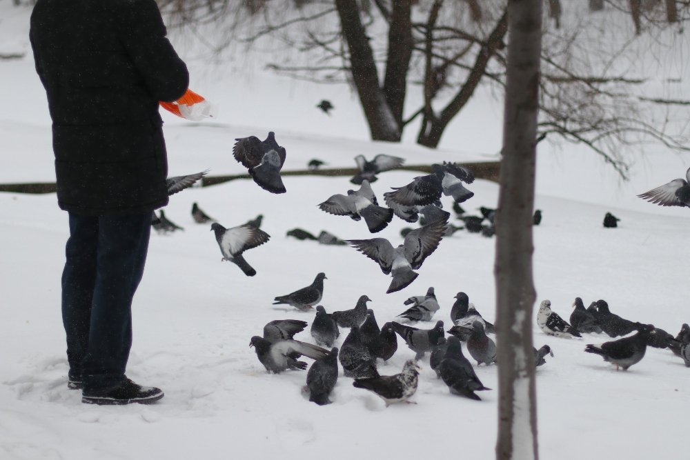 Снегопад в Киеве в лицах и пробках: как с утра выглядит столица во время непогоды 19