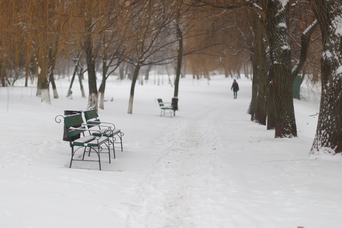 Снегопад в Киеве в лицах и пробках: как с утра выглядит столица во время непогоды 21