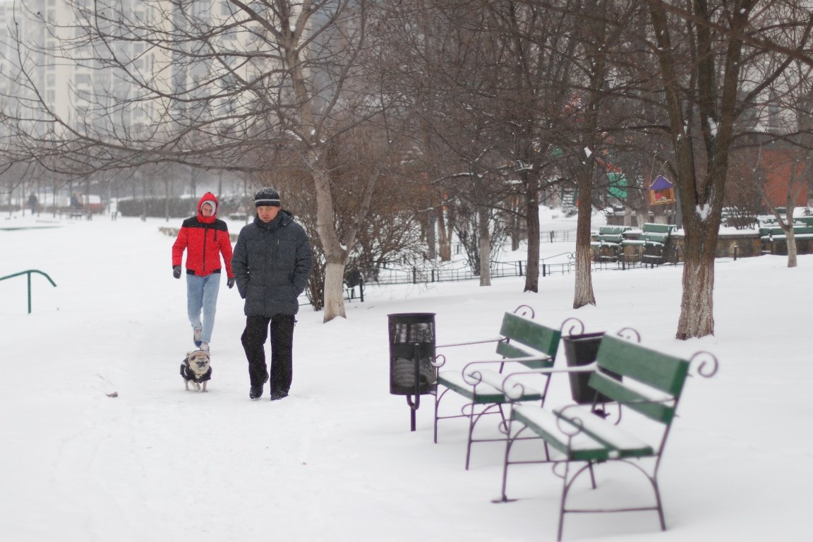 Снегопад в Киеве в лицах и пробках: как с утра выглядит столица во время непогоды 22