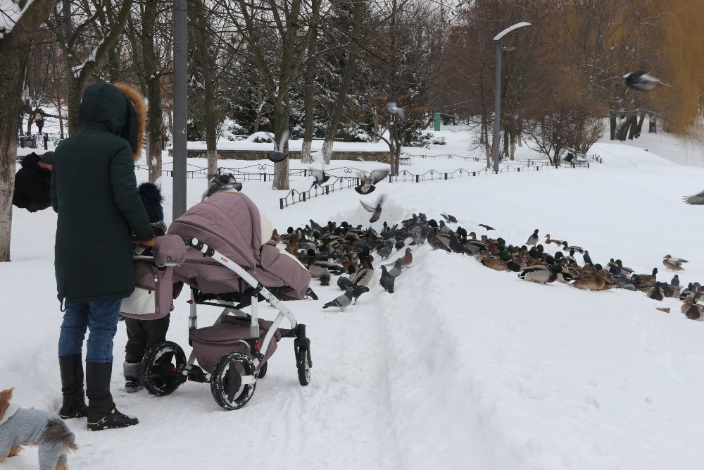 Снег, санки, лопаты, собаки и застрявшие машины: фоторепортаж с улиц Киева 9 февраля 1