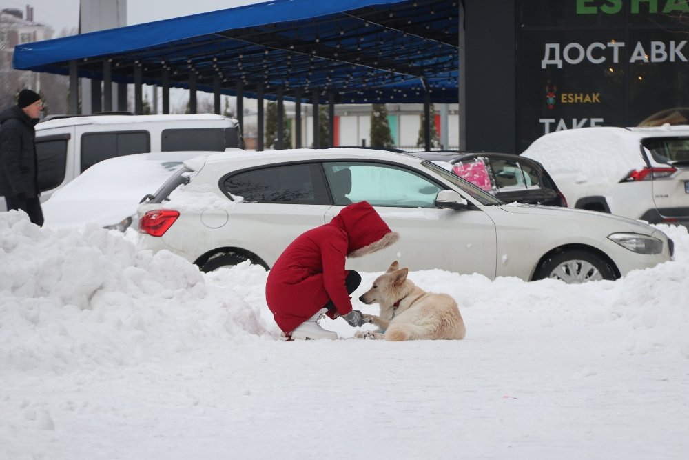 Снег, санки, лопаты, собаки и застрявшие машины: фоторепортаж с улиц Киева 9 февраля 5