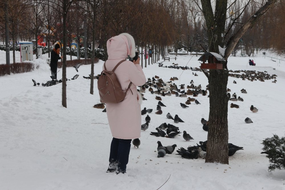 Снег, санки, лопаты, собаки и застрявшие машины: фоторепортаж с улиц Киева 9 февраля 6