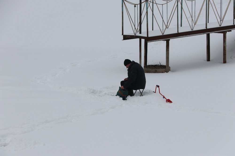 Снег, санки, лопаты, собаки и застрявшие машины: фоторепортаж с улиц Киева 9 февраля 10