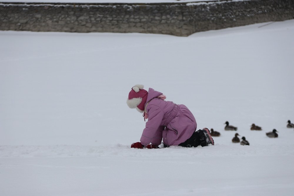 Снег, санки, лопаты, собаки и застрявшие машины: фоторепортаж с улиц Киева 9 февраля 11