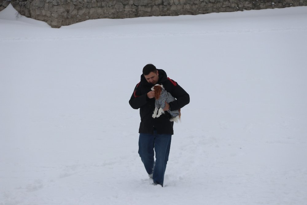 Снег, санки, лопаты, собаки и застрявшие машины: фоторепортаж с улиц Киева 9 февраля 12