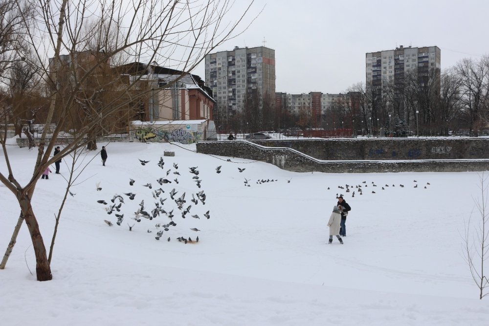 Снег, санки, лопаты, собаки и застрявшие машины: фоторепортаж с улиц Киева 9 февраля 14
