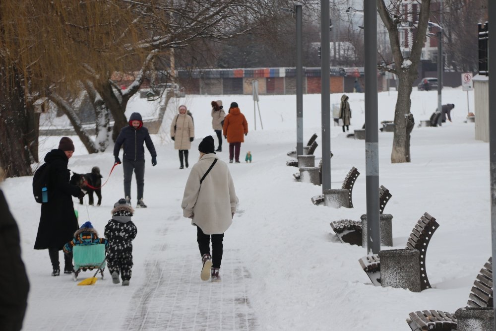 Снег, санки, лопаты, собаки и застрявшие машины: фоторепортаж с улиц Киева 9 февраля 25