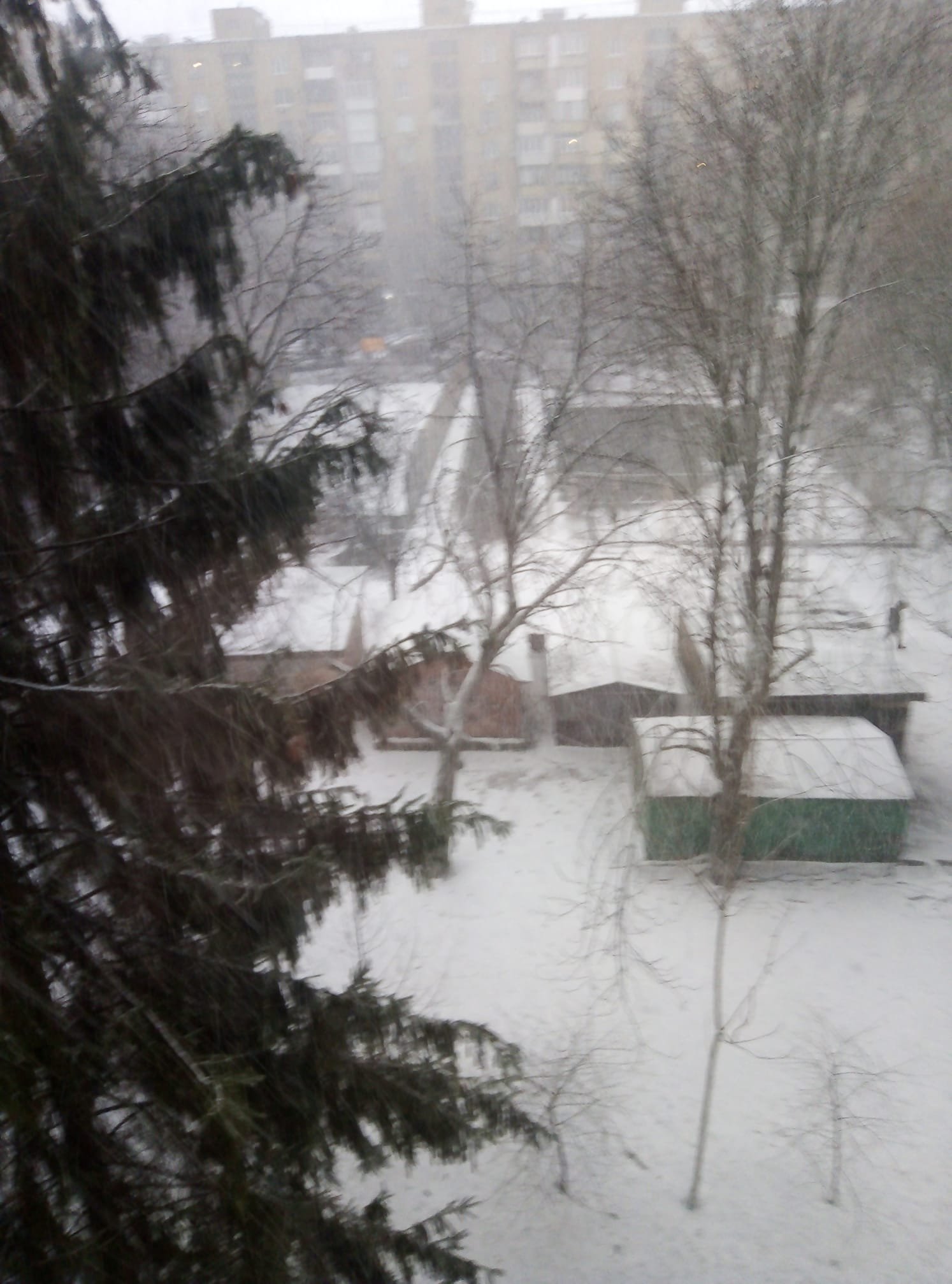 На Киев обрушилась снежная пелена: фото и видео 1