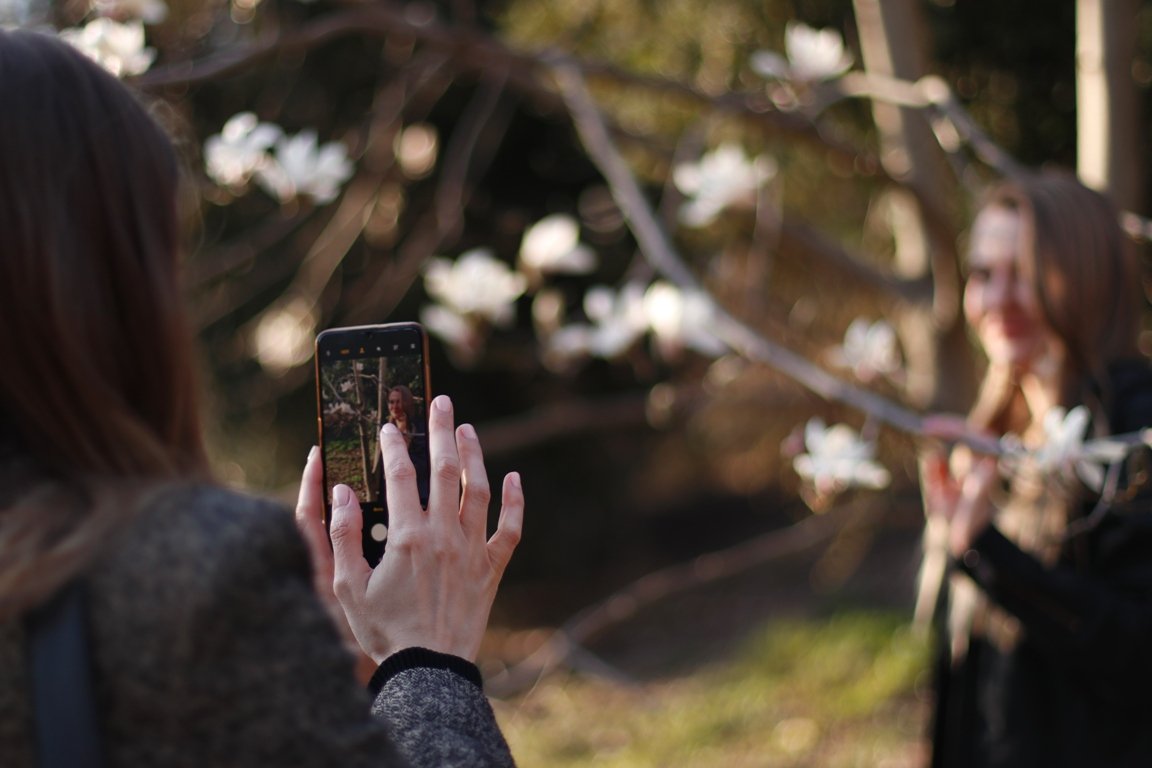 В ботсаду Фомина в Киеве зацвели первые магнолии: фоторепортаж 3